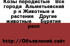 Козы породистые - Все города, Альметьевский р-н Животные и растения » Другие животные   . Бурятия респ.